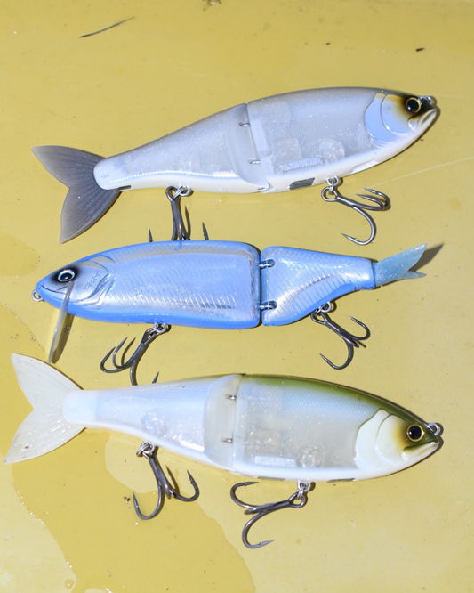 Angeln mit Swimbaits - Tipp, Tricks und Technik Guide.