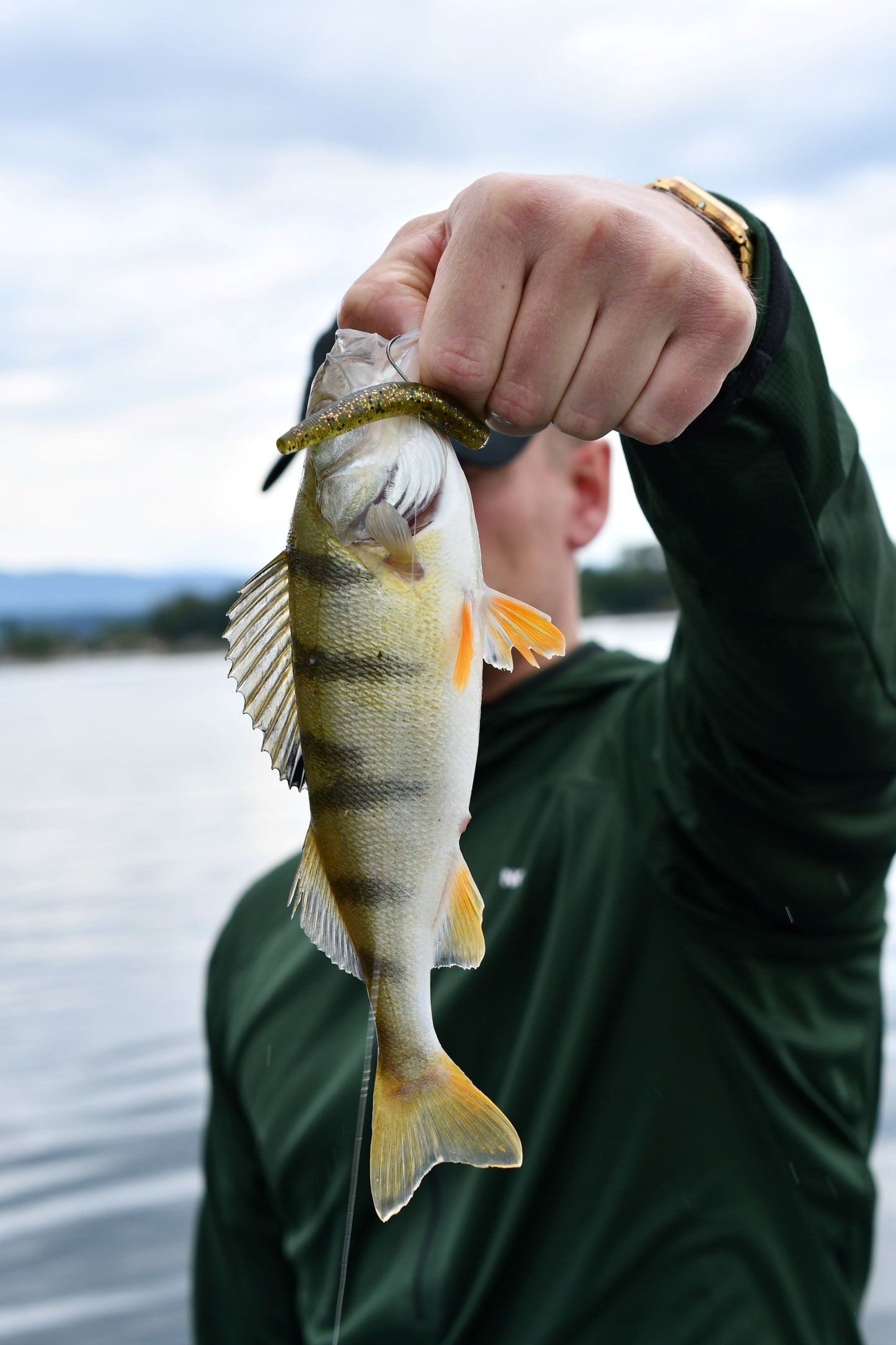 Yamamoto Baits Ned Senko Floater