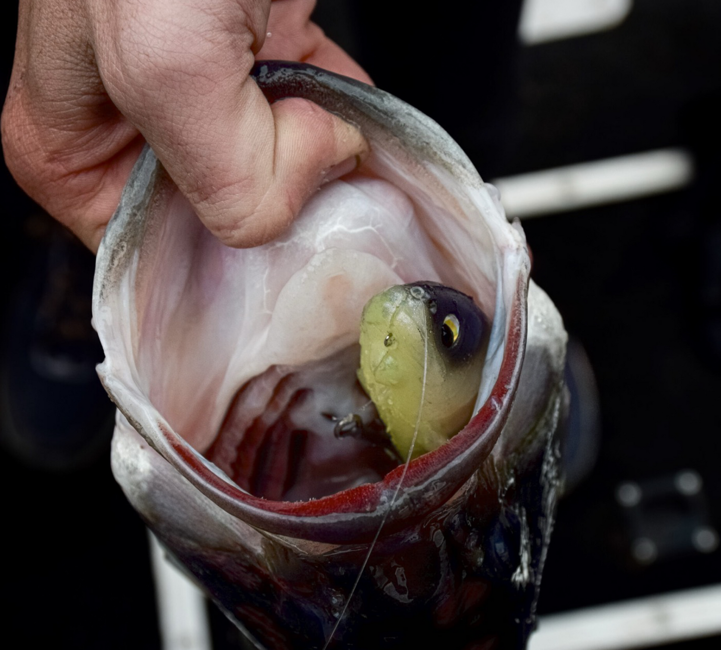 Hispano Lures Polaris 147