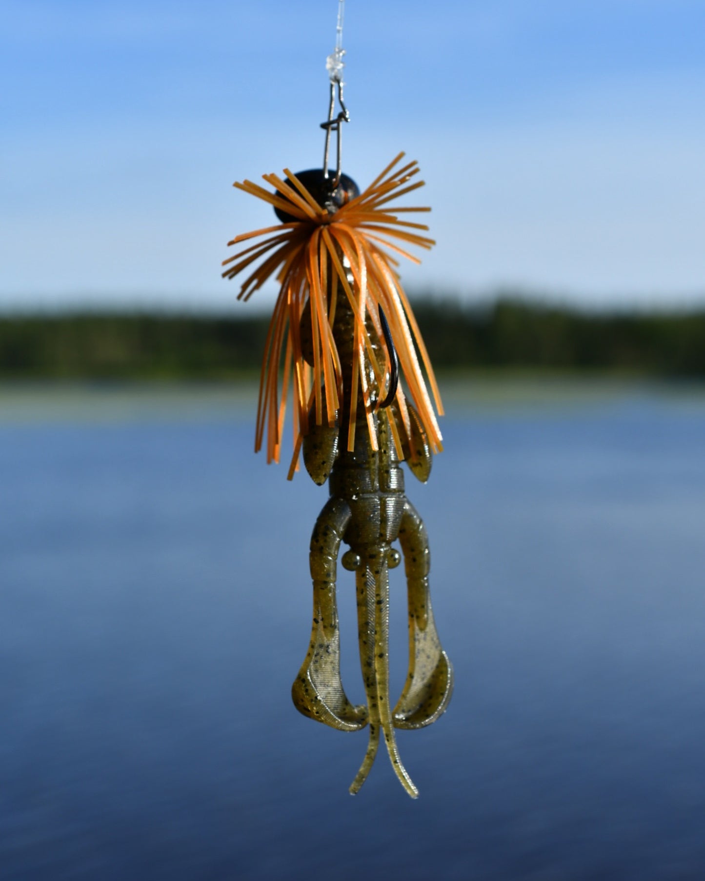 Nories Gunter Oval Jig BT