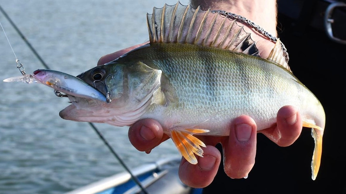 Nories Laydown Minnow Deep Just Wakasagi