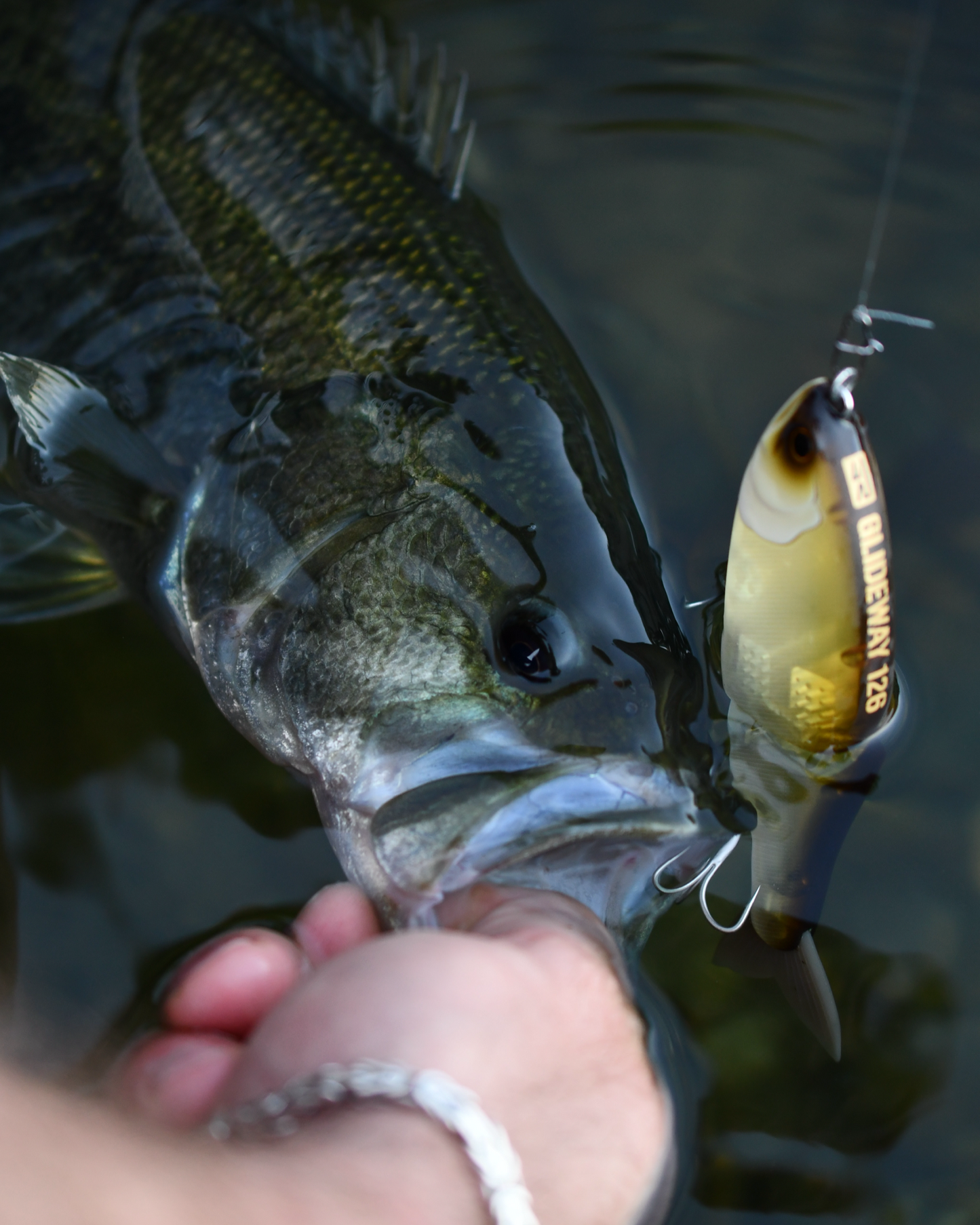 Swimbait Republic Glideway 126