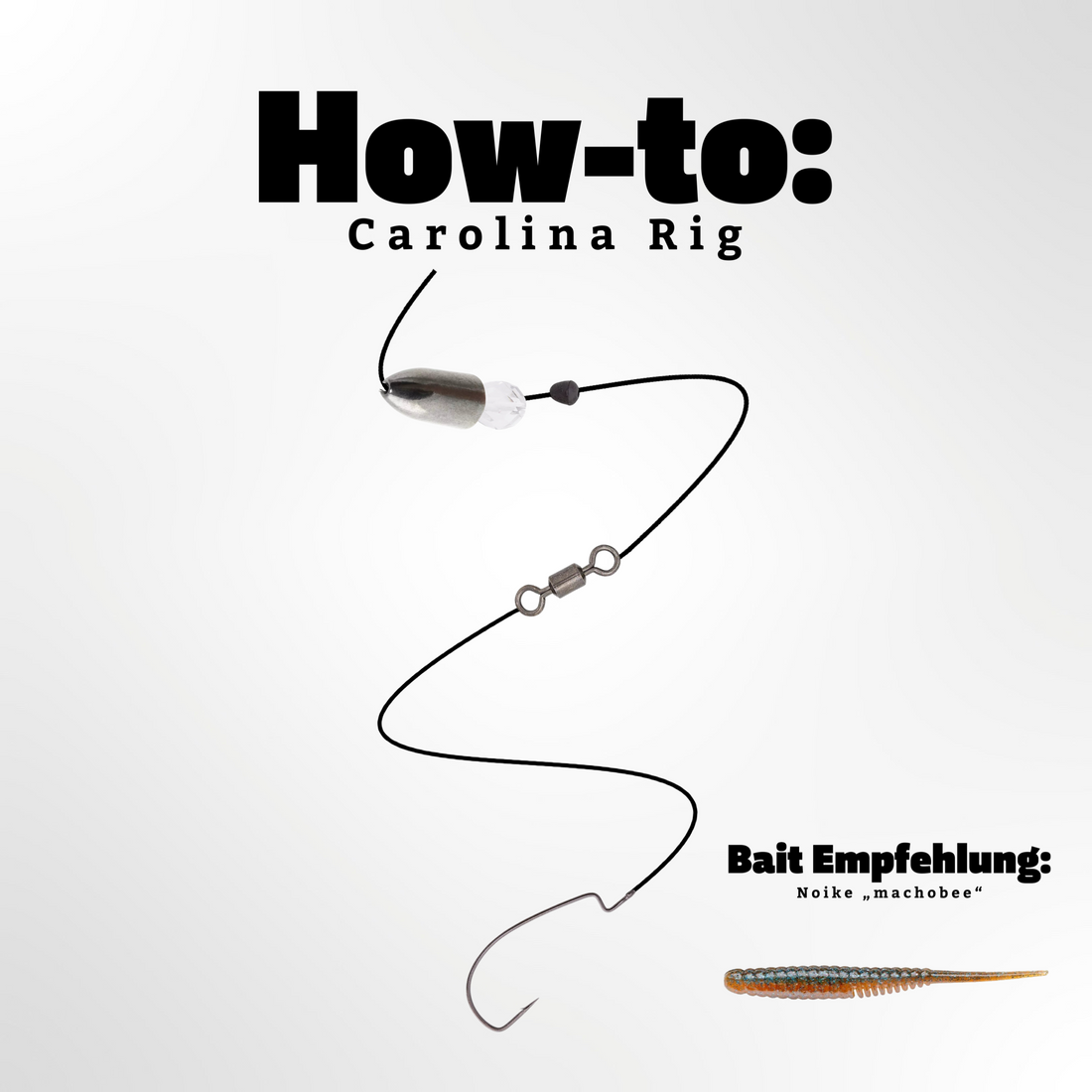 How-to: Carolina Rig