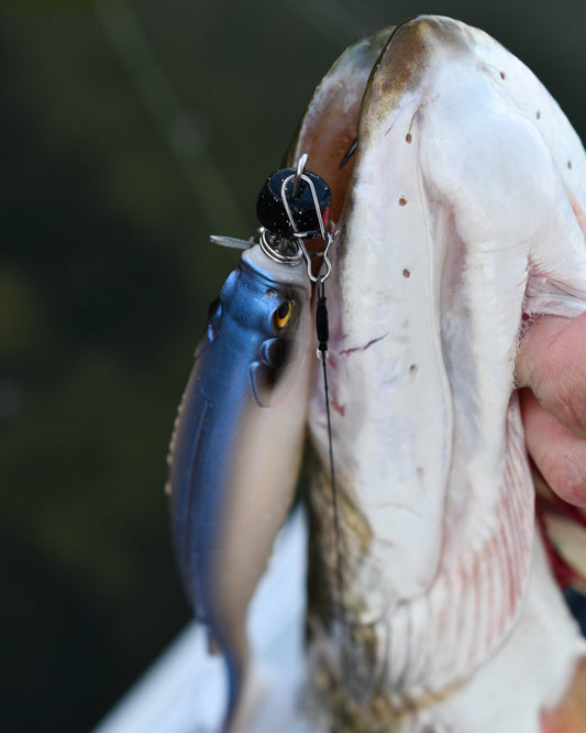 Hechtangeln mit dem Shallow Rig