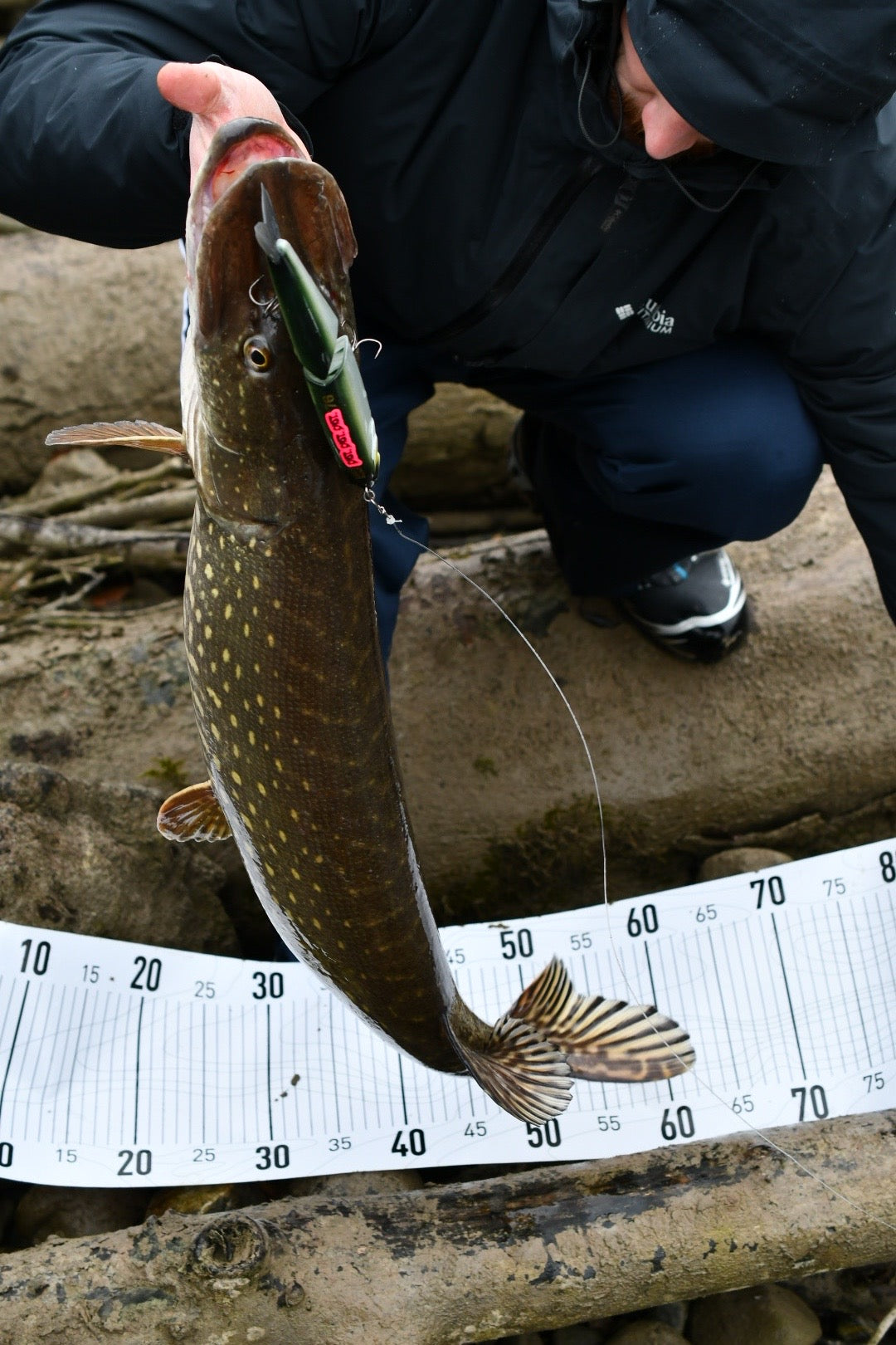 Nimi Tackle x tightlines Scale