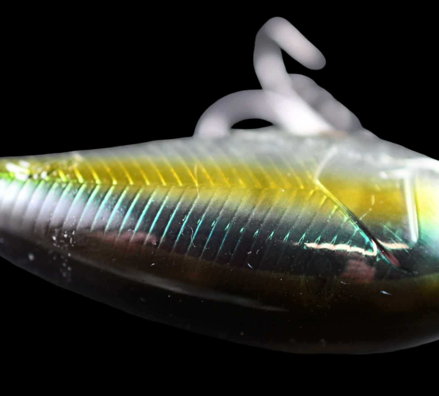 Nories Shot Omega Big 62 (used)