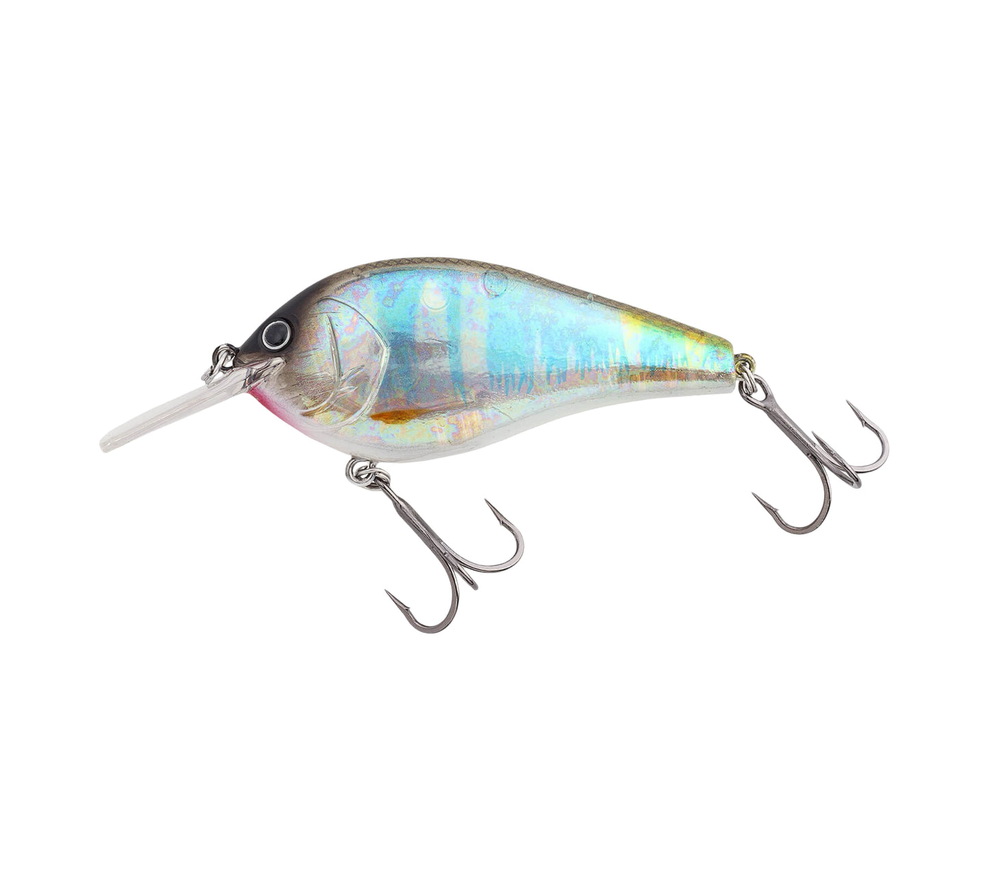 Nories Complete Flat 68