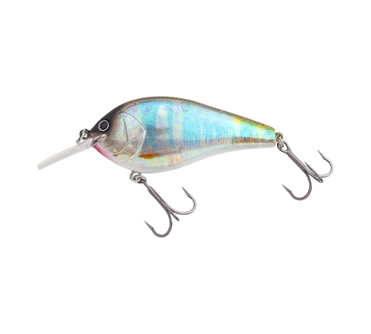 Nories Complete Flat 68