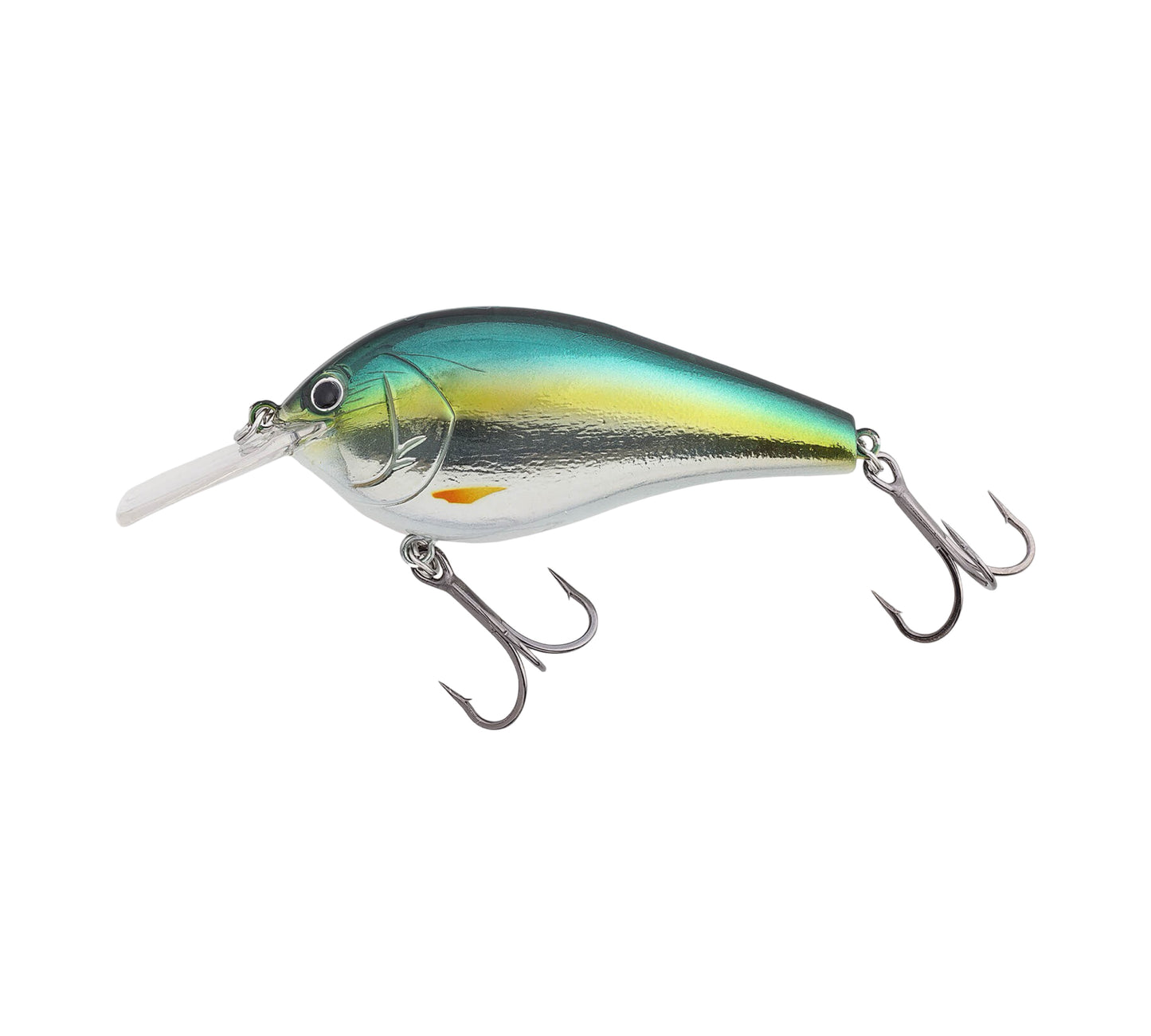 Nories Complete Flat 68