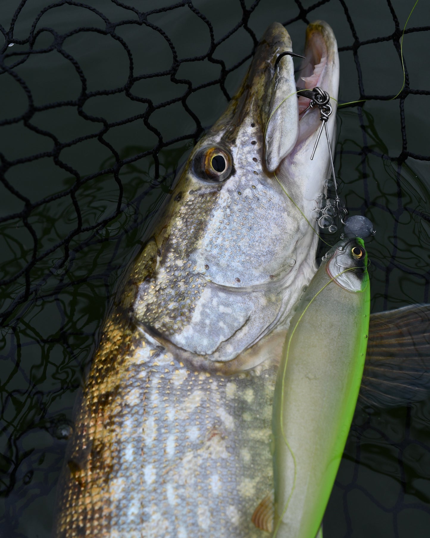 Pitch and Strike Raijin 220 - Shad